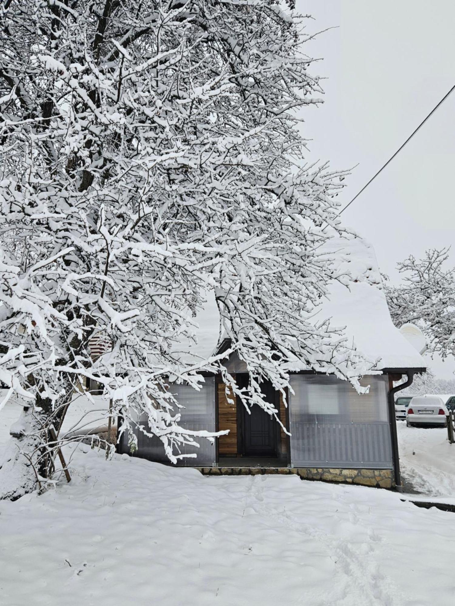 Brvnara Ispod Stare Kruske Ferienhaus Bajina Basta