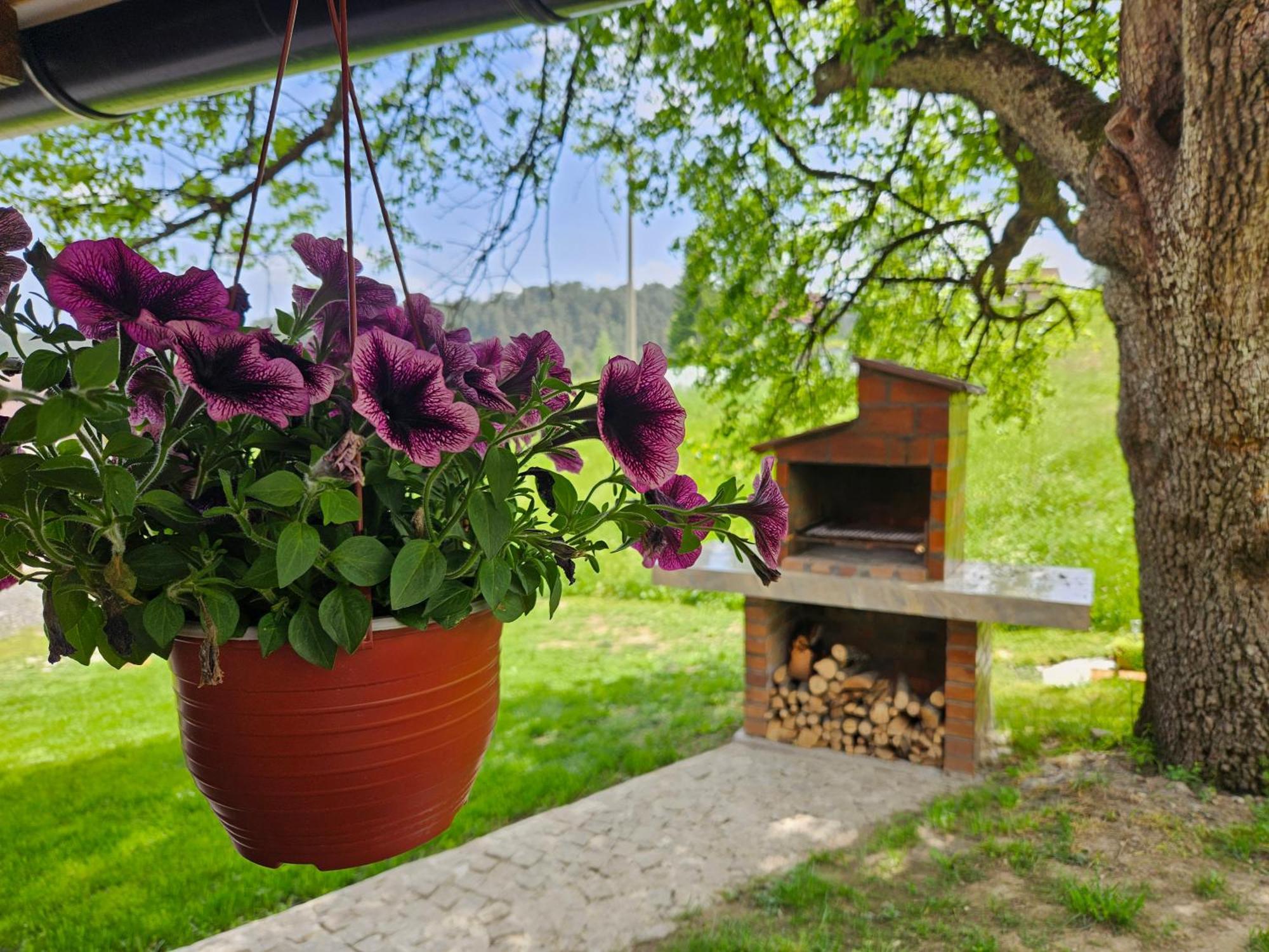 Brvnara Ispod Stare Kruske Ferienhaus